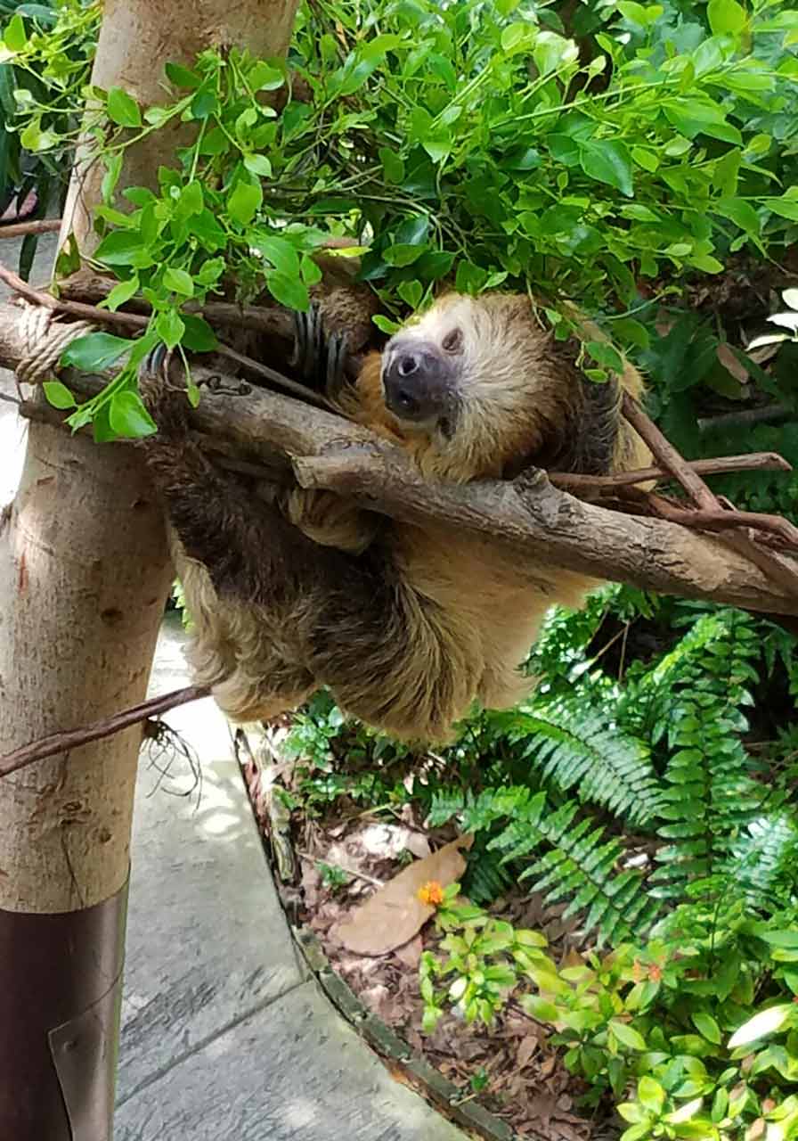 Kristina handling an animal from the education collection